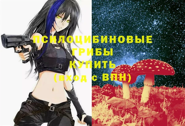 ALPHA PVP Коряжма