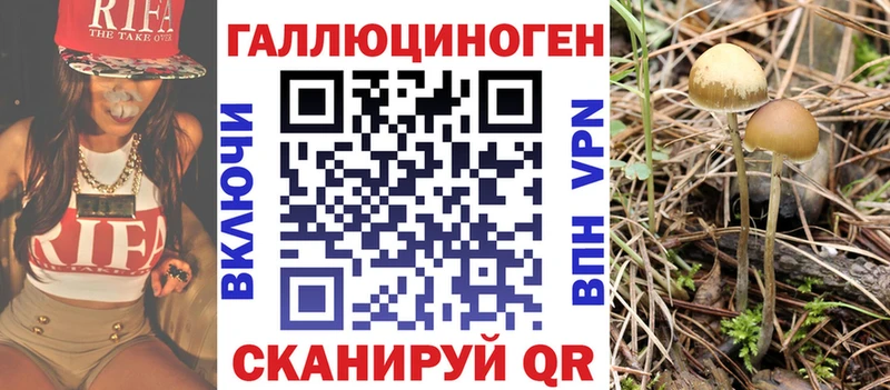 Псилоцибиновые грибы Cubensis  Сурск 
